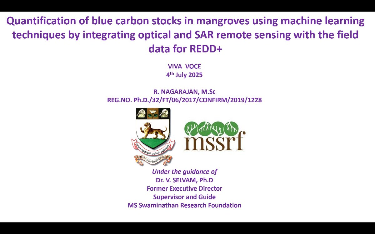 mssrf's tweet image. We extend our heartfelt congratulations to Dr Nagarajan R, Scientist, CSR and Head – GIS and Remote Sensing at #MSSRF, on the successful defence of his thesis. Since 2019, under the expert mentorship of Dr V. Selvam, Dr Nagarajan has investigated the accuracy of remote…