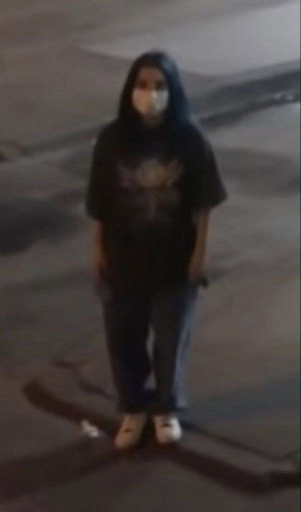 “mikey madison gets everything” meanwhile this was the average mikey spotting every 6 months because she was never in anything