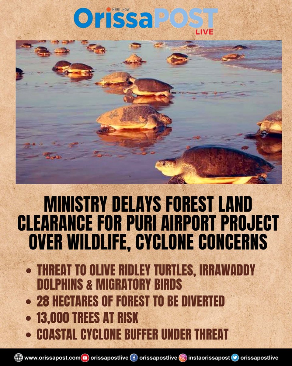 OrissaPOSTLive's tweet photo. Jagannath Airport hits green roadblock!
Olive Ridleys, dolphins & 13,000 trees stand in the way. 🌿🌊🐢
@DharitriClimate
#EnvironmentMatters #PuriAirport #SaveChilika #OliveRidley #JagannathTemple #GreenAlert #EcoWatch #OrissaPOST https://t.co/5PbBvQhkgV