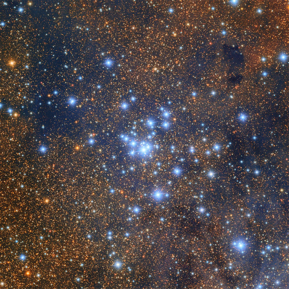 VRubinObs's tweet image. Our favorite kinds of fireworks are the cosmic kind 🌟🎆
Our #RubinFirstLook image of the Trifid and Lagoon Nebulae has plenty of cosmic fireworks to explore! Let the bright, young stars in these clusters add some sparkle to your #FourthOfJuly holiday ✨
📷: NSF–DOE Rubin Obs.