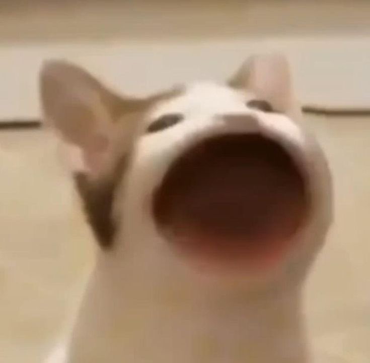 ใจเย็นๆ 🗿🗿