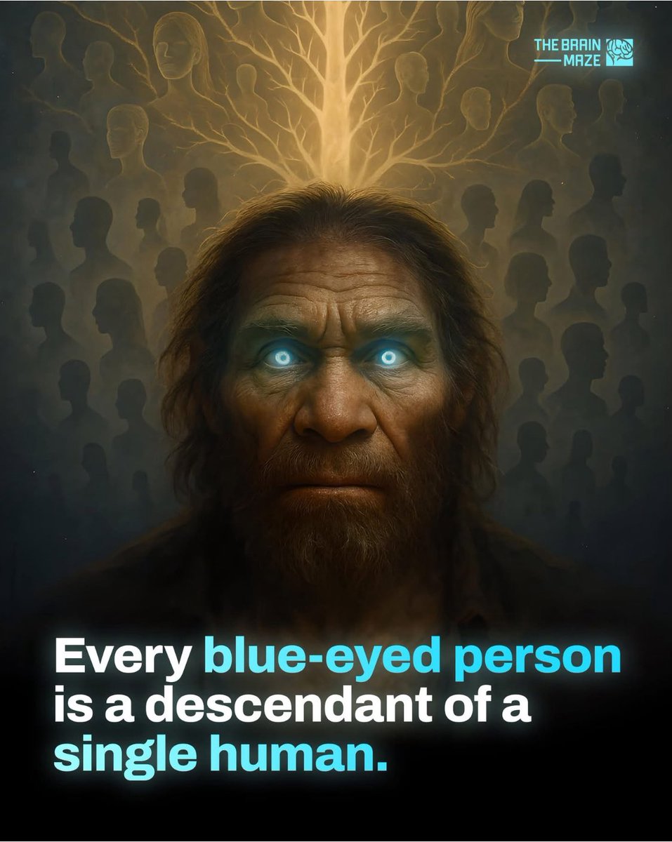 No blue- eyed people in the house growing up and no blue-eyed people in the house now!