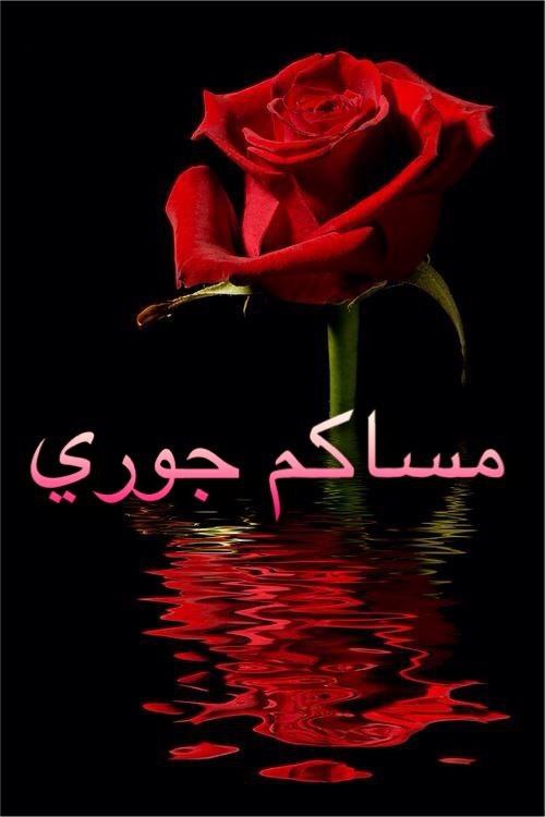 ♡◇♡

مساء معطر برائحة الورد مساء معطر بذكر الرحمن مسائكم خير وبركة 
 مسائك عنبر وعود ...

♡◇♡
