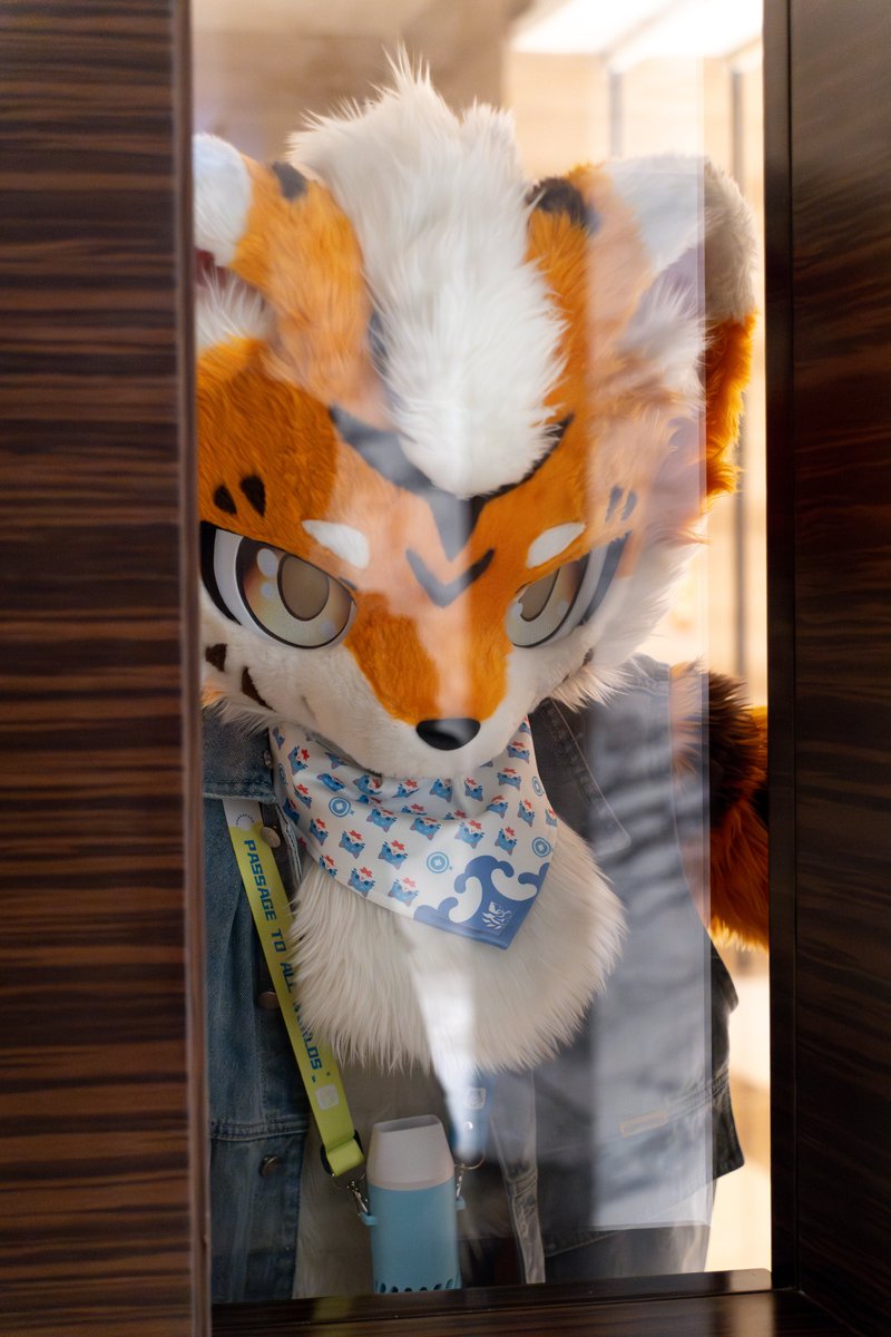baicai_coin's tweet image. 我会一直看着你...看着你...
📷:辰昕老师
#FursuitFriday