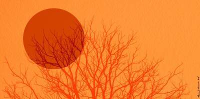 विशेषज्ञों का कहना है कि जाति, व्यवसाय और गर्मी के तनाव से संपर्क के बीच मजबूत संबंधों को "थर्मल अन्याय" के रूप में वर्णित किया जा सकता है। Heatwaves killed nearly 20,000 people in India between 2001 and 2019, a recent study has found.
facebook.com/incsandesh/pos…