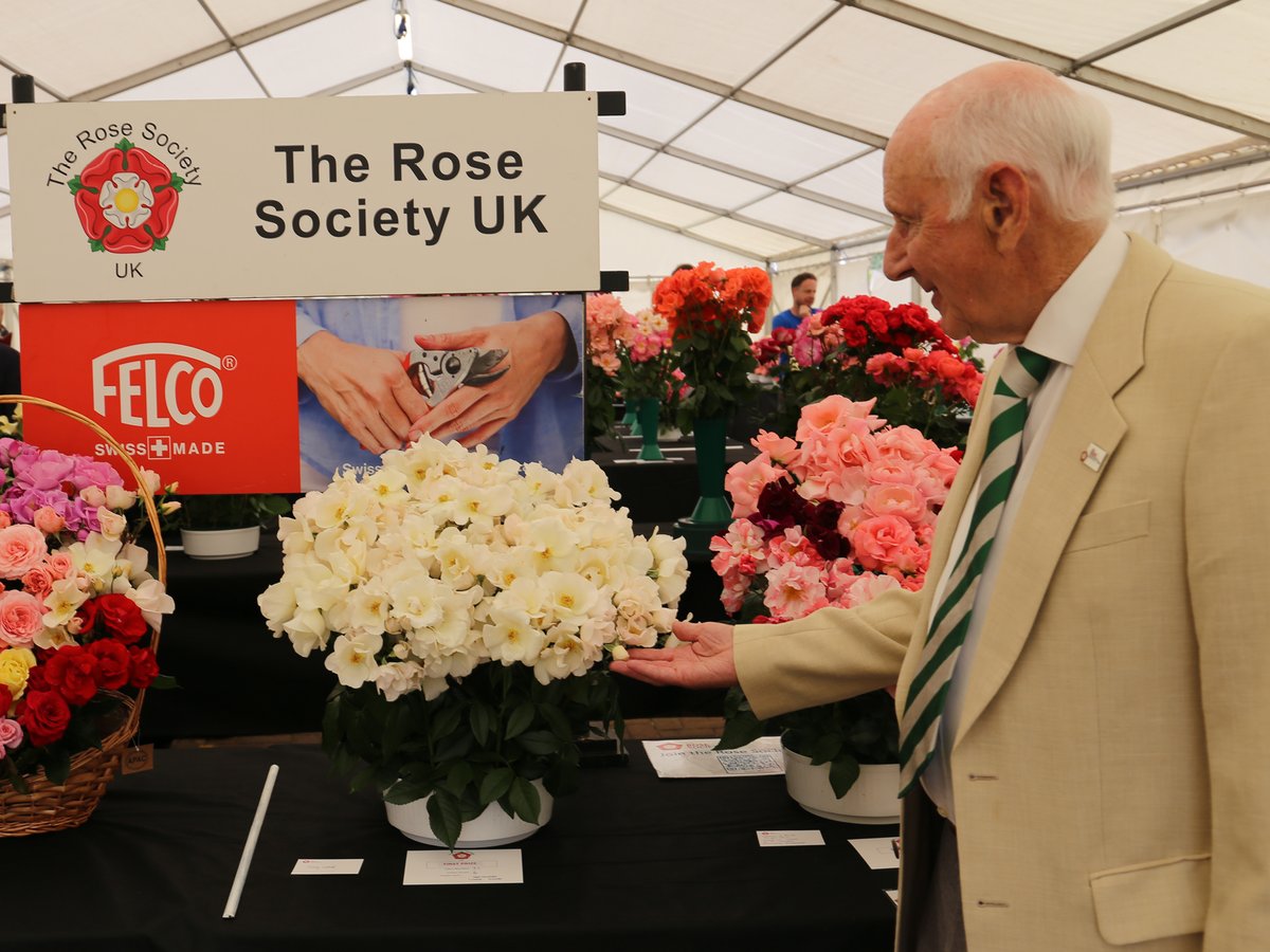 Our Shepperton centre was in full bloom last weekend with the annual Rose Festival, hosted in partnership with The Rose Society UK. A firm favourite with visitors, the event treated guests to stunning rose displays, music, food and drink sampling and a garden party atmosphere.