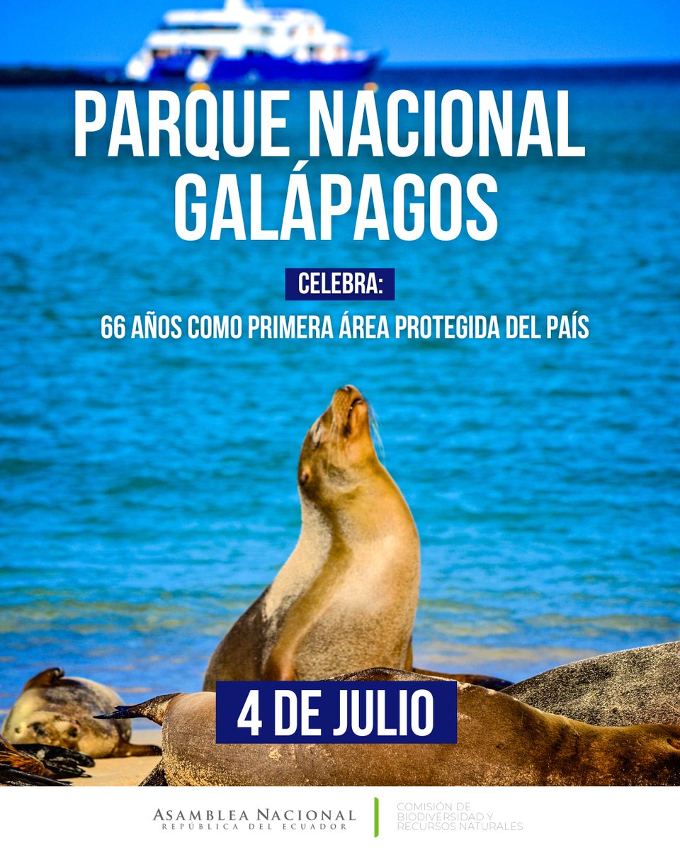 Desde la Comisión de Biodiversidad y Recursos Naturales conmemoramos la creación del área protegida más emblemática del país.

🐢 Galápagos es vida, ciencia y futuro.
Reafirmamos nuestro compromiso con su conservación.

#Galápagos66Años #ComisiónBiodiversidad #ConservaciónEcuador