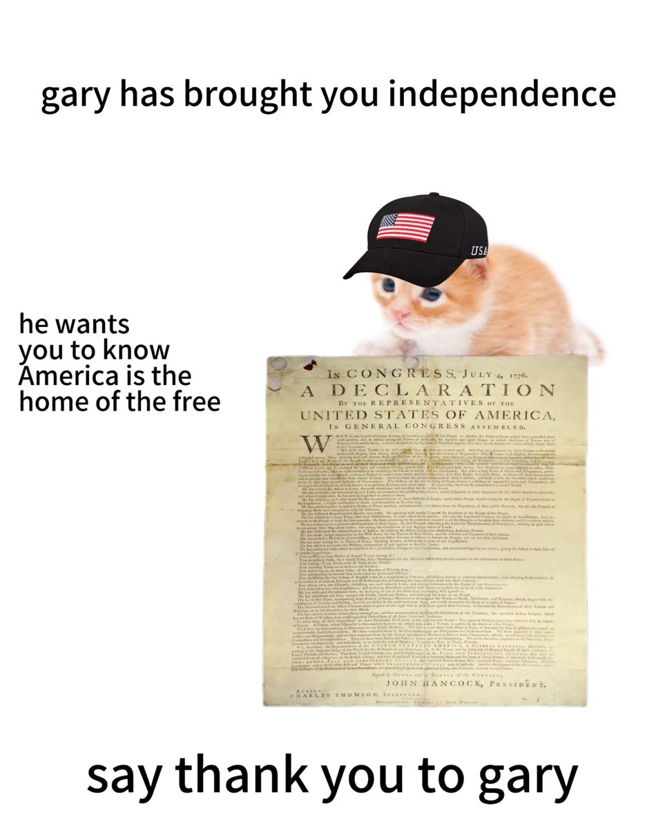 🇺🇸🎆
