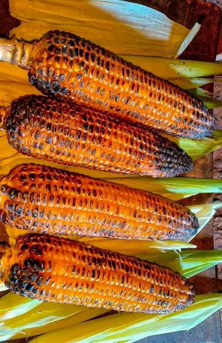 تفضلوووو