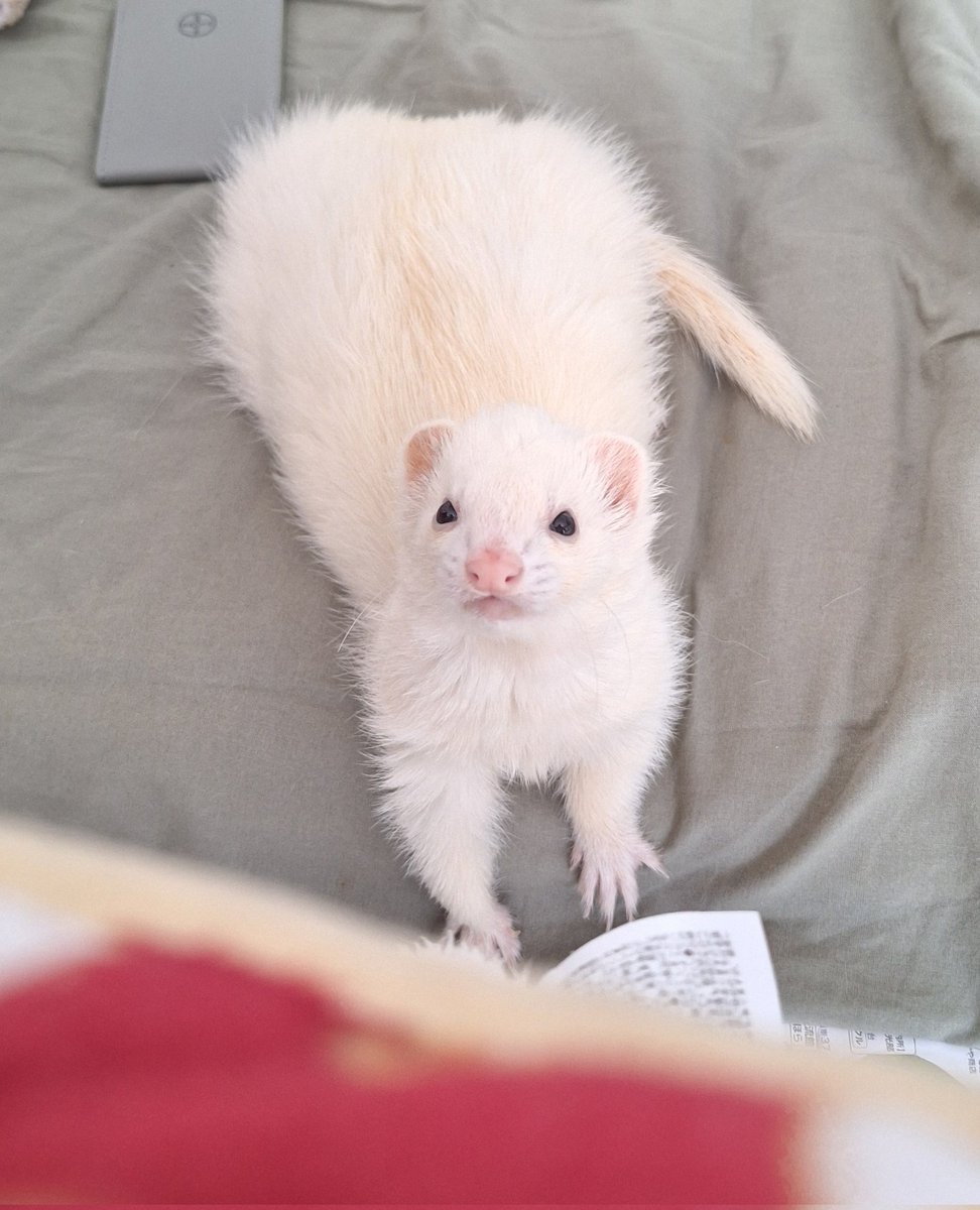 上目遣いあざとい🤦‍♀️