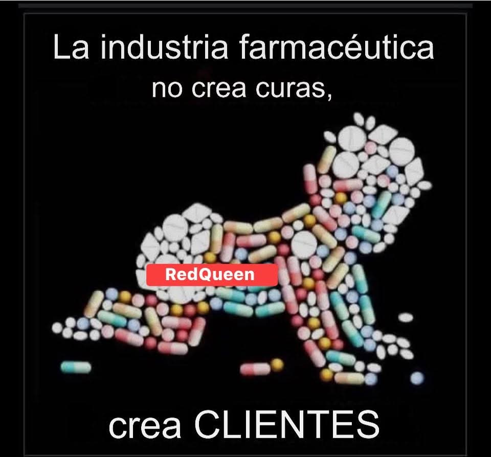 DBizcochin's tweet image. 