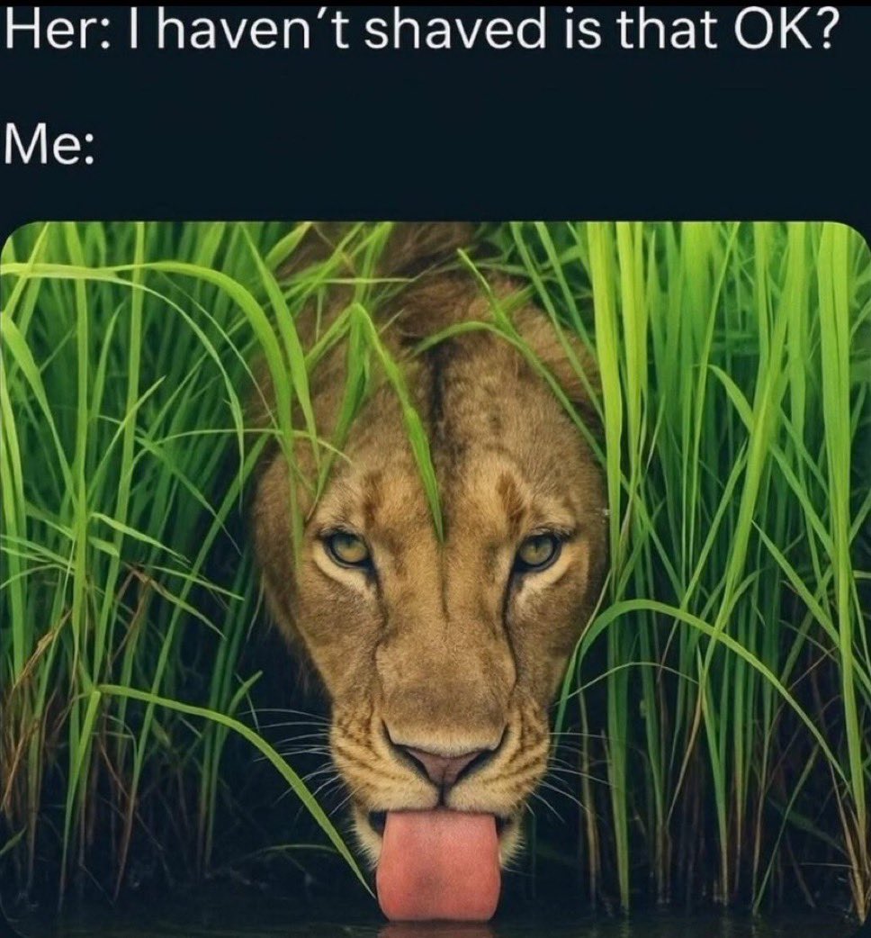not cute & kinky memes (@cravedcuddle) on Twitter photo 