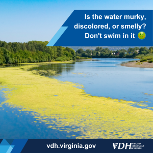 Headed to the lake or beach? Watch out for algal blooms. If the water has ANY of the following, we don't recommend #swimming.
🤨 Discolored
😣 Murky
😖 Has an odor
🤢 Has a film on the water surface
More info at ow.ly/56v450WkJ6Q #SwimHealthyVA