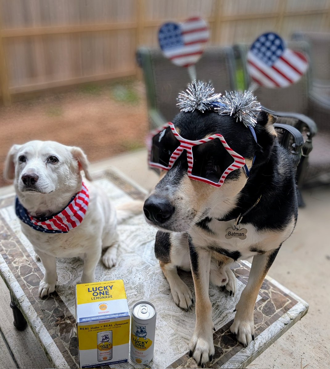 Tracy Cowley (@tcgoldrush) on Twitter photo Happy 4th! Supporting shelter pups with Lucky One Lemonade!
β€οΈπ€ππΊπΈπ
Pup Approved πΎ
<a href="/stoolpresidente/">Dave Portnoy</a> Happy 4th! Supporting shelter pups with Lucky One Lemonade!
β€οΈπ€ππΊπΈπ
Pup Approved πΎ
<a href="/stoolpresidente/">Dave Portnoy</a>