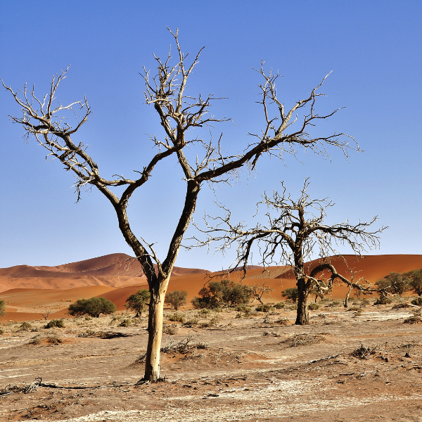 Crisi climatica, i provvedimenti per la sicurezza dei lavoratori ➡️ reteambiente.it/news/61544/