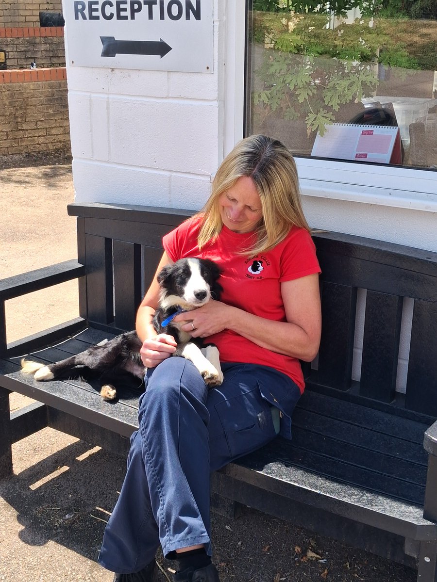 BCTGB's tweet image. ๐ Meet the Team Monday ๐
This week, weโre shining the spotlight on someone incredibly special โ Rachel, our amazing Kennels Manager, who has been a pillar of our charity for an incredible 25 years! ๐๐พ
#MeetTheTeamMonday #ThankYouRachel #25YearsOfLove #AnimalHero
