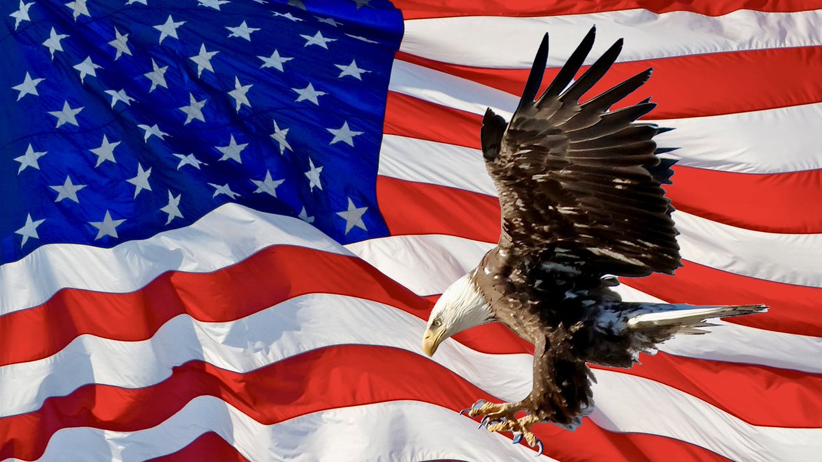 MTRockburner's tweet photo. Happy Independence Day https://t.co/BhIfY9JoXH
