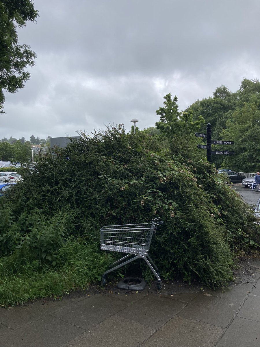 <a href="/Wagerlkunst/">Einkaufswagenkunst</a> shhh 🤫 I’m hiding from them.