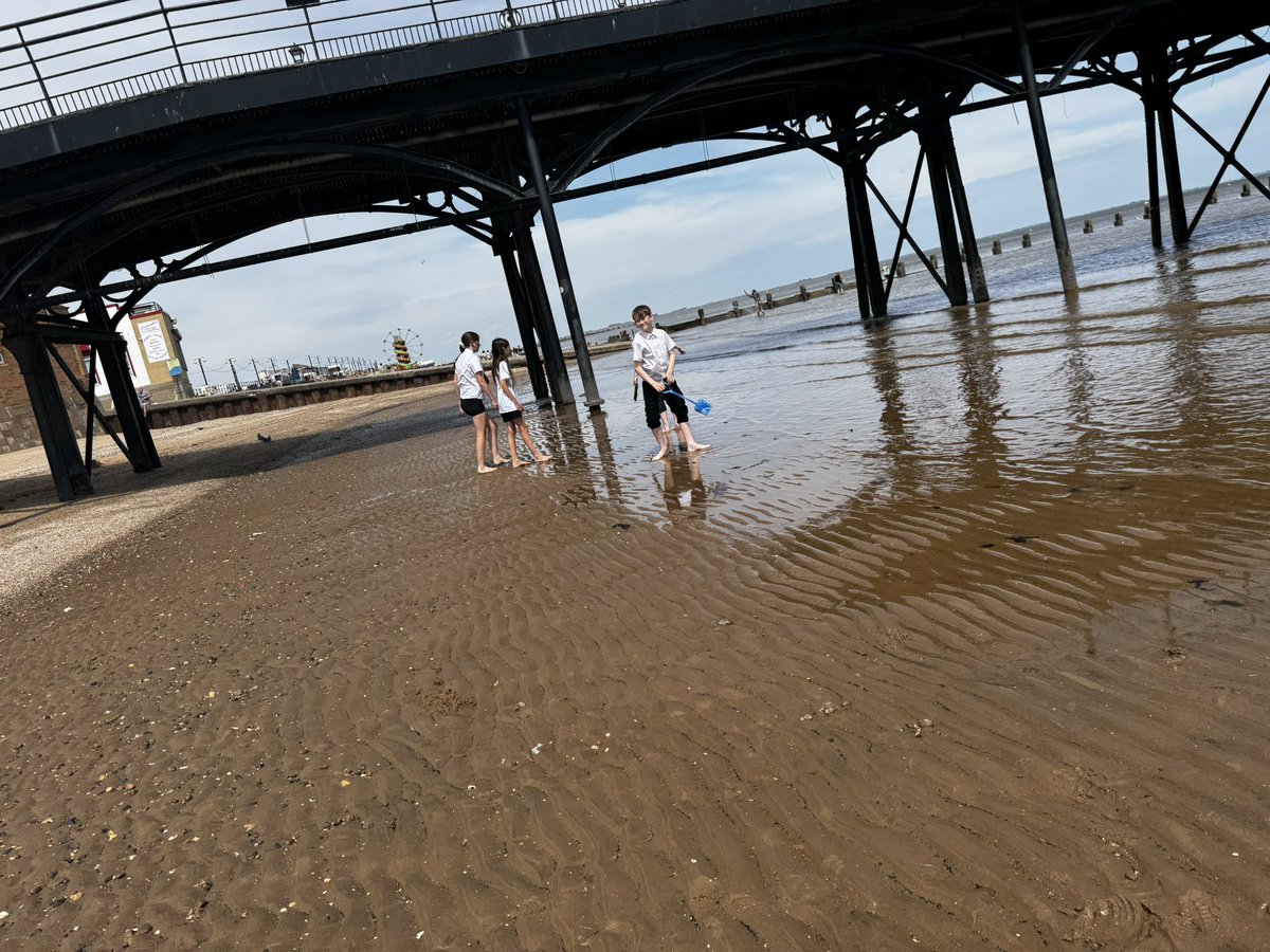 NorbridgeCIA's tweet image. Fun at the seaside 🏖️☀️🌊
@Y6Norbridge @y6tolkienclass
@DeltaNorbridge