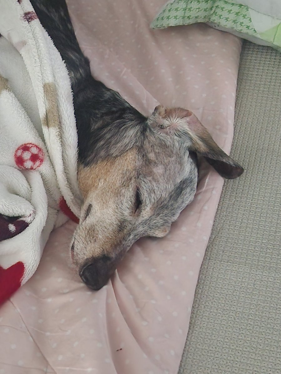 아 귀여워ㅋㅋㅋ