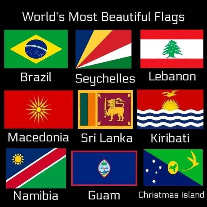 أعلام العرب هي التلوث البصري، وبعضها نماذج عن الهويات القومية المسلوبة (المصري والبابلي). لا إبداع ولا فردية كما في العلم اللبناني والإسرائيلي.