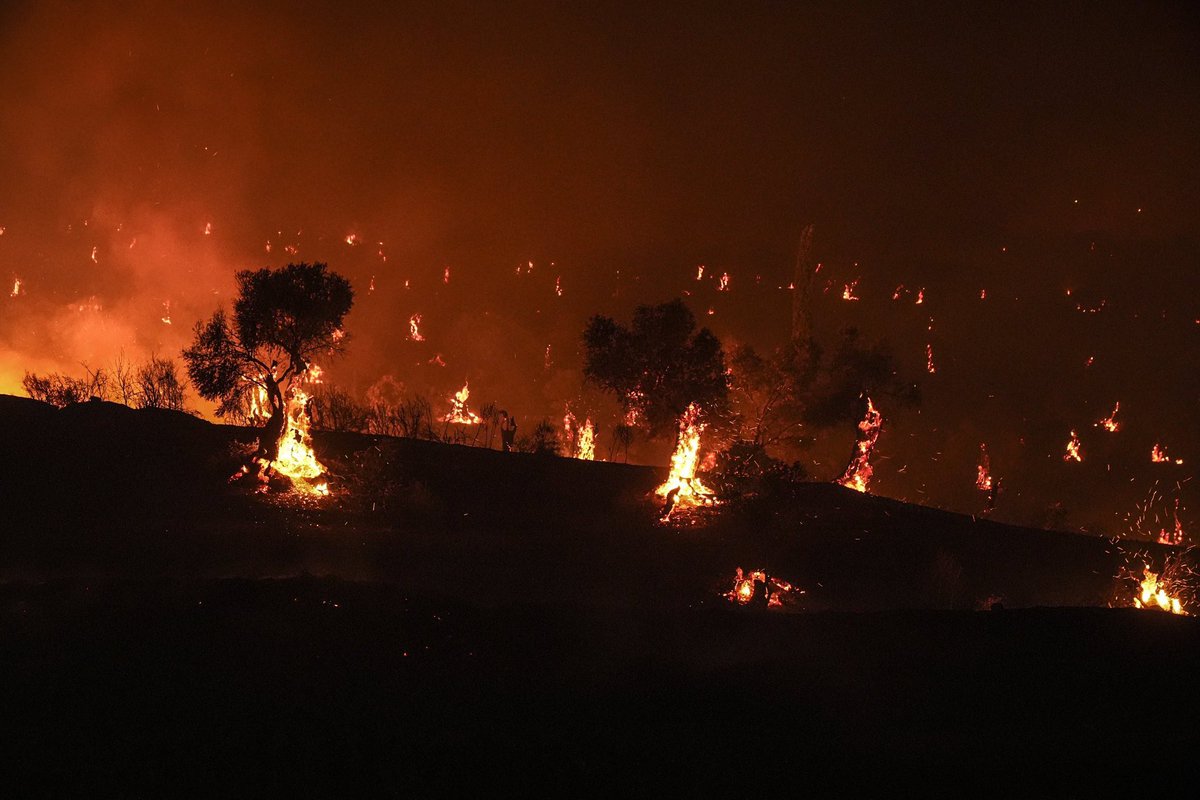 Diyelim ki,
kurudu ormanlar, nehirler, yuvalarında kuşlar.
Diyelim ki,
ateş olup küller üfürdünüz memlekete.

Baktınız,
kalmamış yakacak tek bir ağaç,
sönmeyen ocak,
akacak tek damla gözyaşı…

Sonra?
Geçip ortasına ölümün, düğün mü kuracaksınız?
Diyelim ki kurdunuz; 
külden