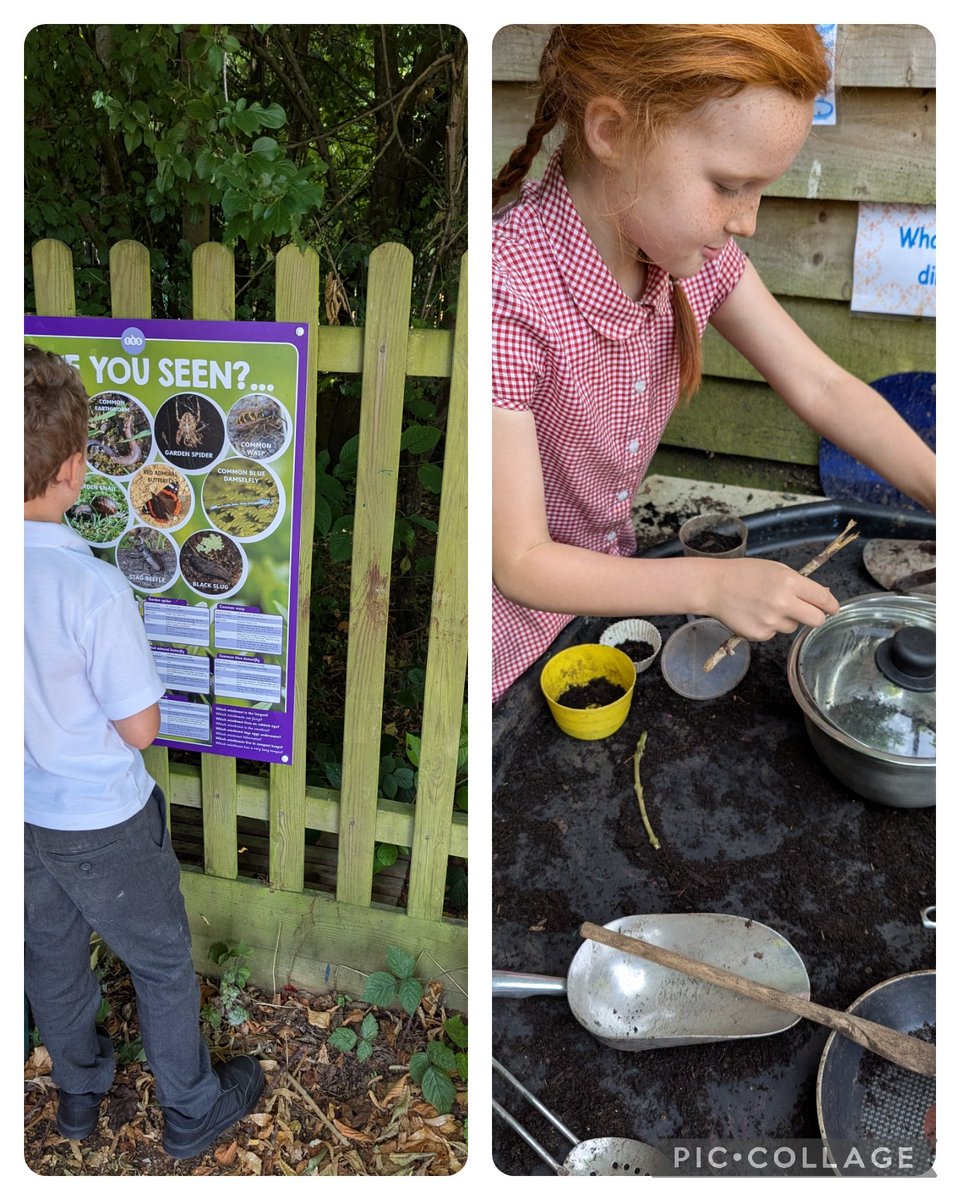 Learning together, learning for life here <a href="/CTS_Watford/">Cherry Tree Primary School</a> with our Fireflies every Friday morning  #CTSforestschool <a href="/headcherrytree/">Cherry Tree Headteacher</a> <a href="/SencoCTS/">Mrs Carrack</a> <a href="/Emma5Hills/">Emma Hill</a>
