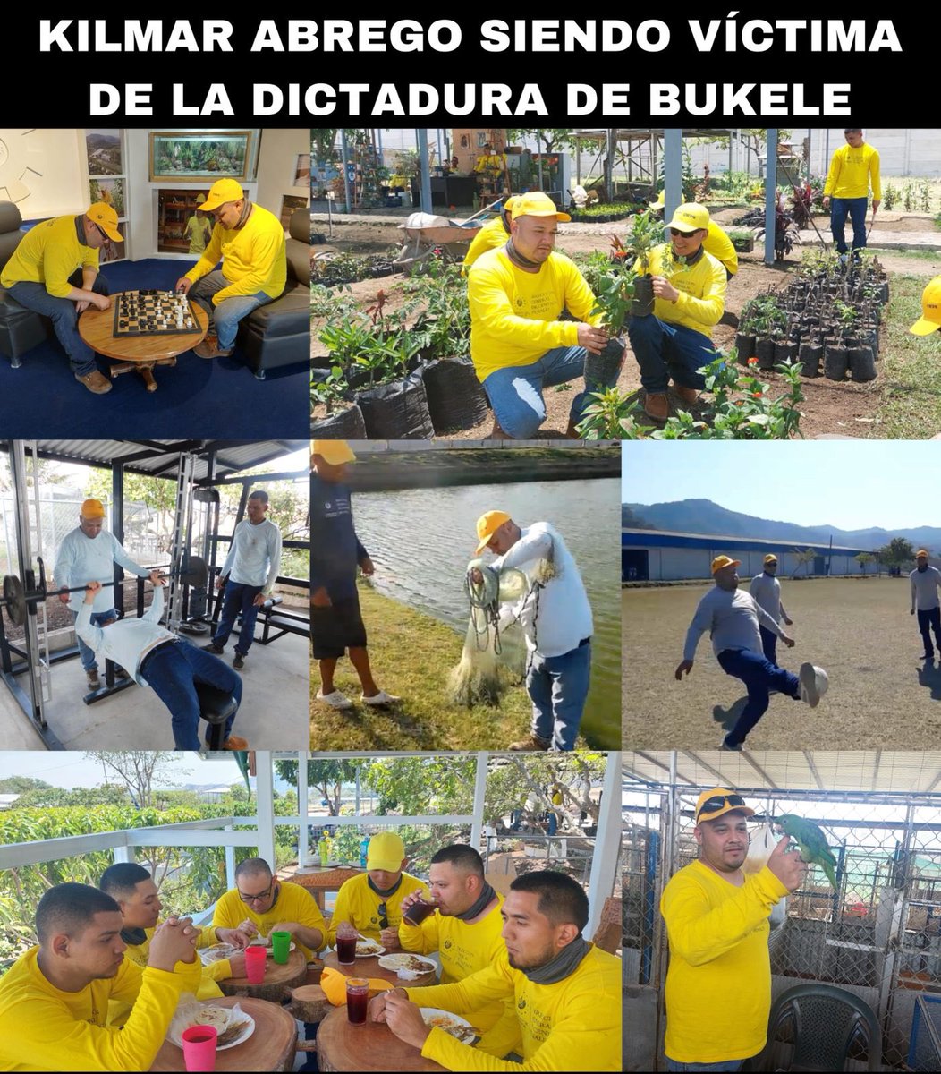 Luis_SV_2021's tweet photo. @CNNEE Que lo sepa el mundo, el senador @ChrisVanHollen estuvo presente mientras #KilmarAbrego recibía torturas. 🤭
Estas consistían en reuniones con demócratas, dormir tranquilamente, comer y beber, jugar fútbol y ajedrez, etc 🤣😂
#CnnMiente https://t.co/0JJvOTtF5S