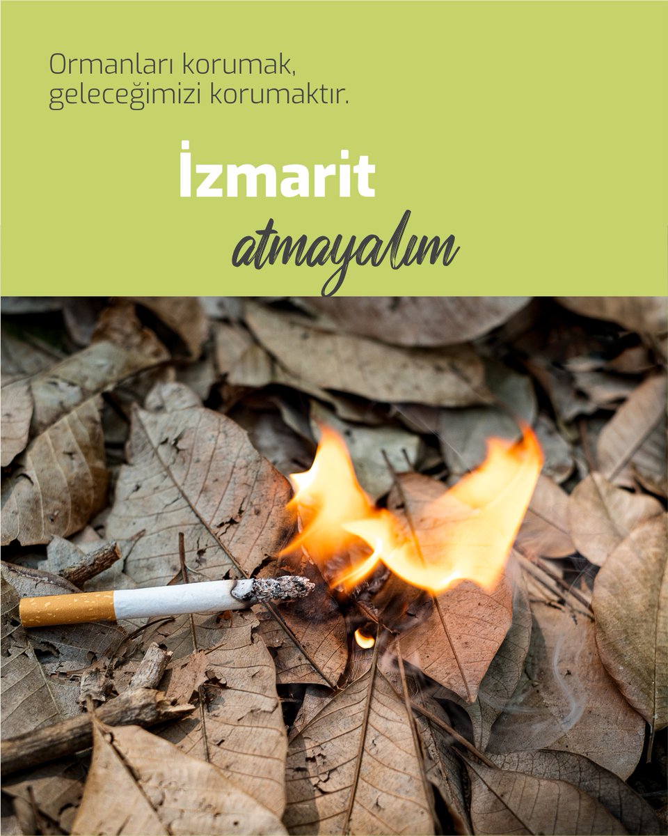 "Bir kıvılcım, binlerce canlıyı yok edebilir!"
Yaz aylarında artan sıcaklıklarla birlikte orman yangını riski de yükseliyor. Ateş yakmayalım, cam kırıklarını doğada bırakmayalım, izmarit atmayalım. Unutmayalım; ormanları korumak, geleceğimizi korumaktır.