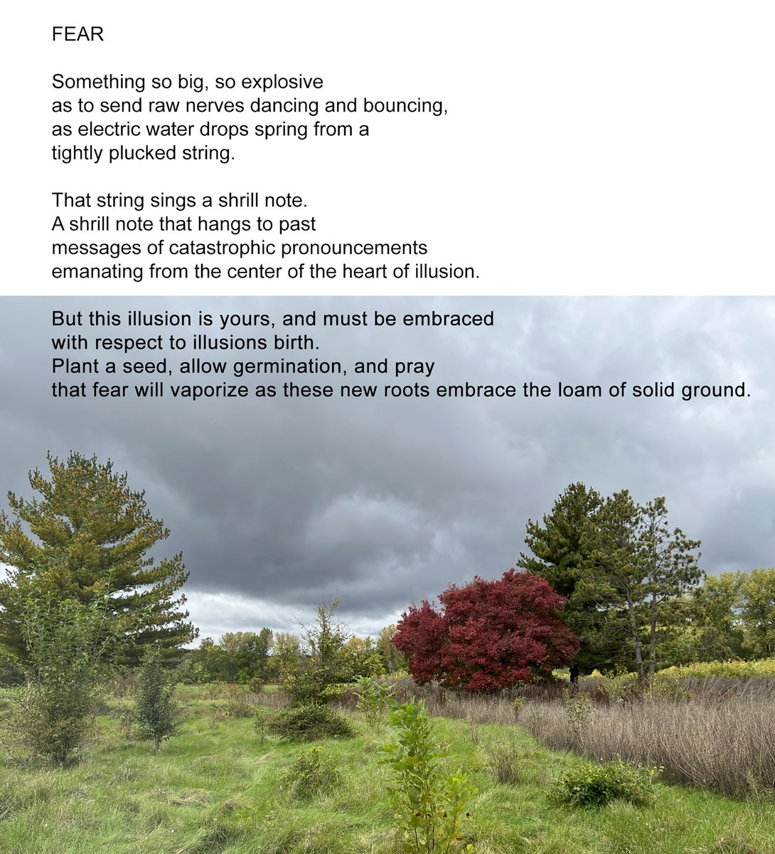 #Poetry #PoetryLovers #Fear #trumpisajoke #Spirituality.  In these days where the Republican Party has been taken over by a cult leader, we can’t lose Hope. But we do have a lot of work to do.