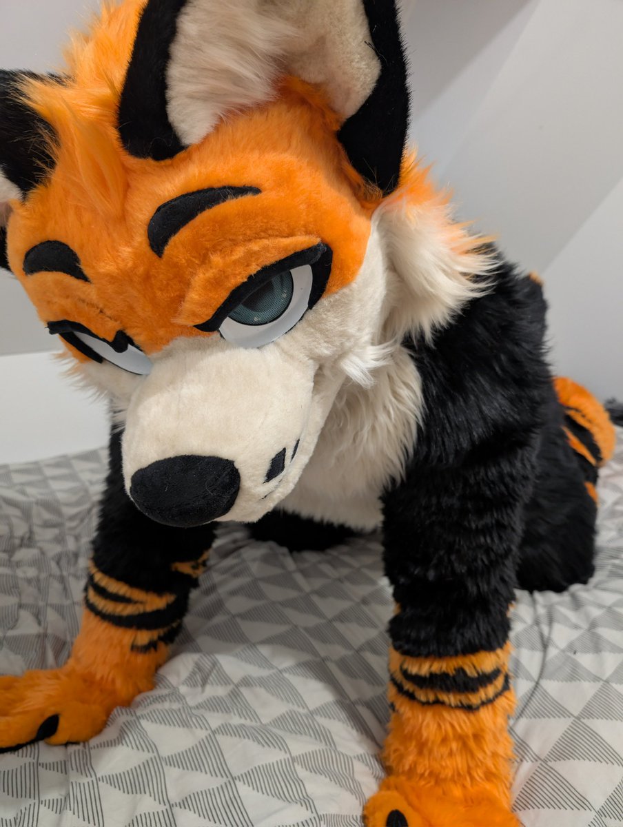 GryveAwoo's tweet image. Hey you ~

What are you plans on this #FursuitFriday