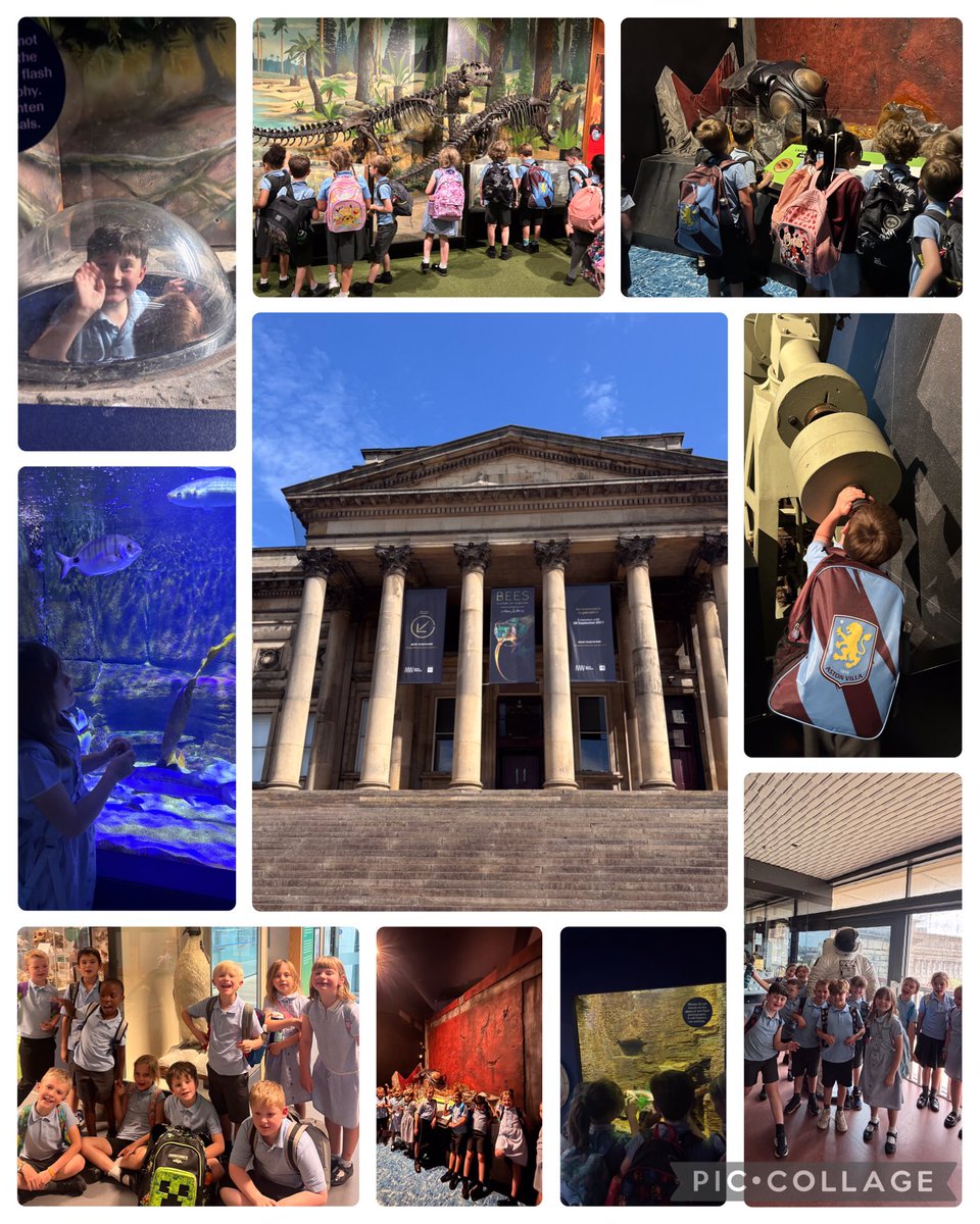 Meole Brace C of E Primary School and Nursery tweet media