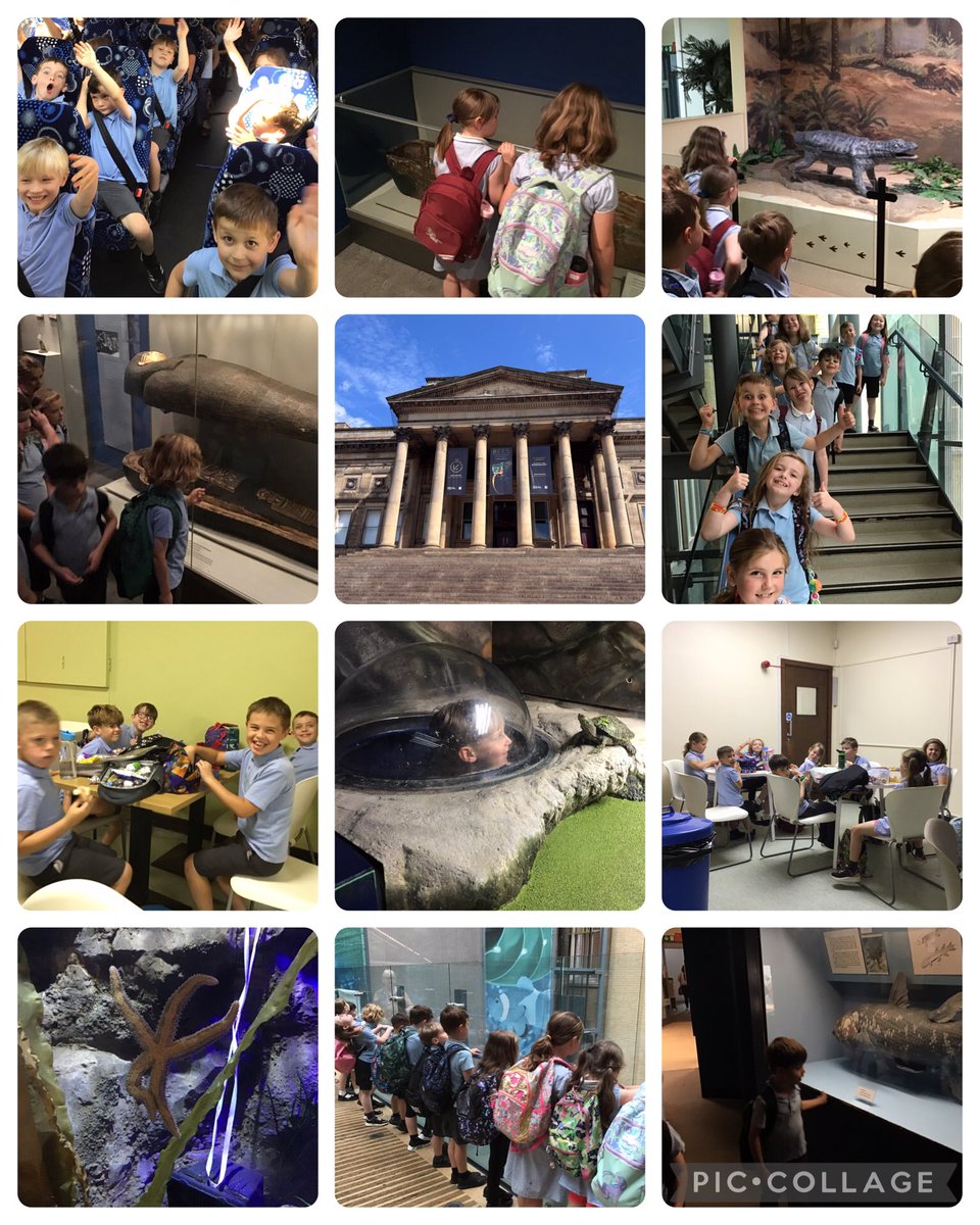 Meole Brace C of E Primary School and Nursery tweet media