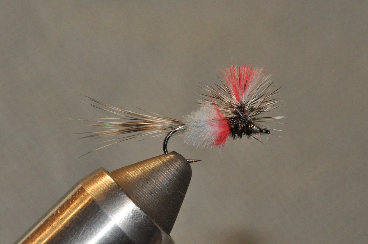 callaweginRob's tweet photo. The Forth of July Fly. Just fooling around and felt patriotic. Red, white and blue CDC body and post. Griz hackle and peacock thorax.  
Nano silk thread, size 14. Probably won't go in my box. https://t.co/ULHqj0lUBz