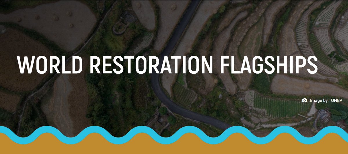 UN Biodiversity (@unbiodiversity) on Twitter photo With the World Restoration Flagships, <a href="/UN/">United Nations</a> recognizes the best examples of large-scale and long-term ecosystem restoration around🌍, embodying the 10 Restoration Principles of the UN Decade on Ecosystem Restoration #GenerationRestoration.
Learn more: 🔗decadeonrestoration.org/world-restorat… With the World Restoration Flagships, <a href="/UN/">United Nations</a> recognizes the best examples of large-scale and long-term ecosystem restoration around🌍, embodying the 10 Restoration Principles of the UN Decade on Ecosystem Restoration #GenerationRestoration.
Learn more: 🔗decadeonrestoration.org/world-restorat…