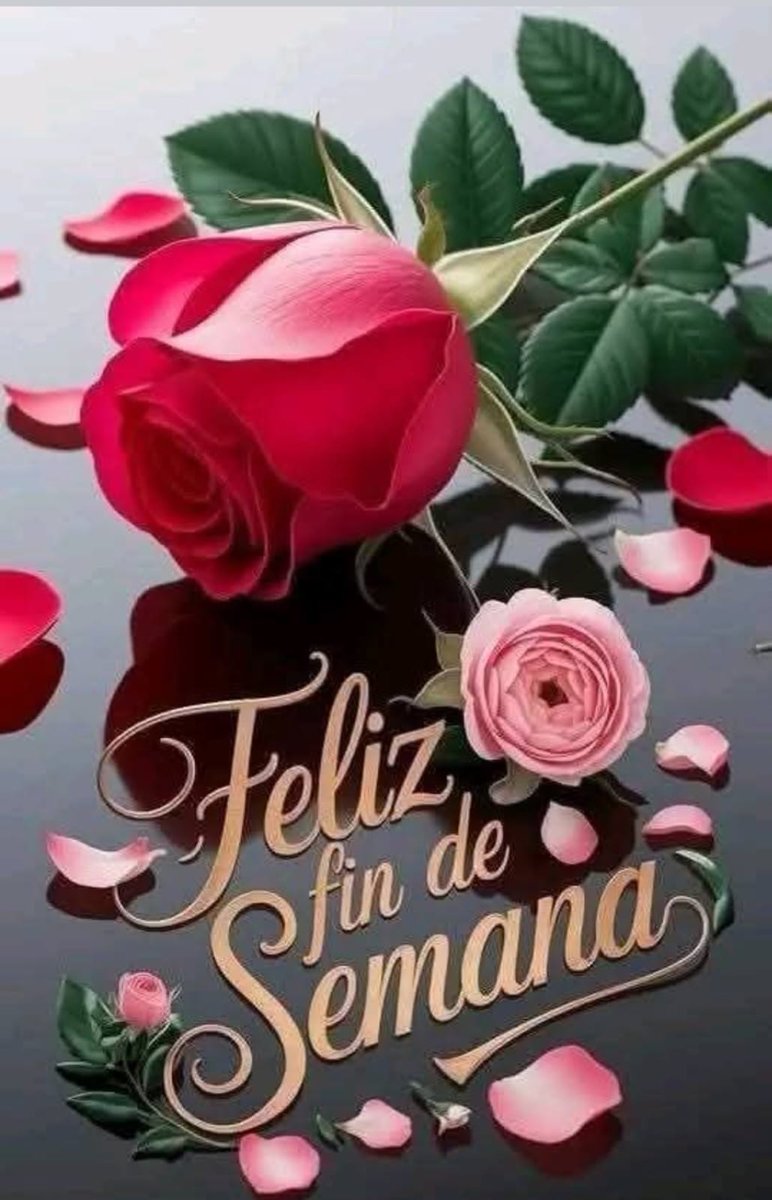 Buenos Días!!!!!!! Lindo Viernes 🌻🍵🌻a Chio, Colaboradores y Seguidores