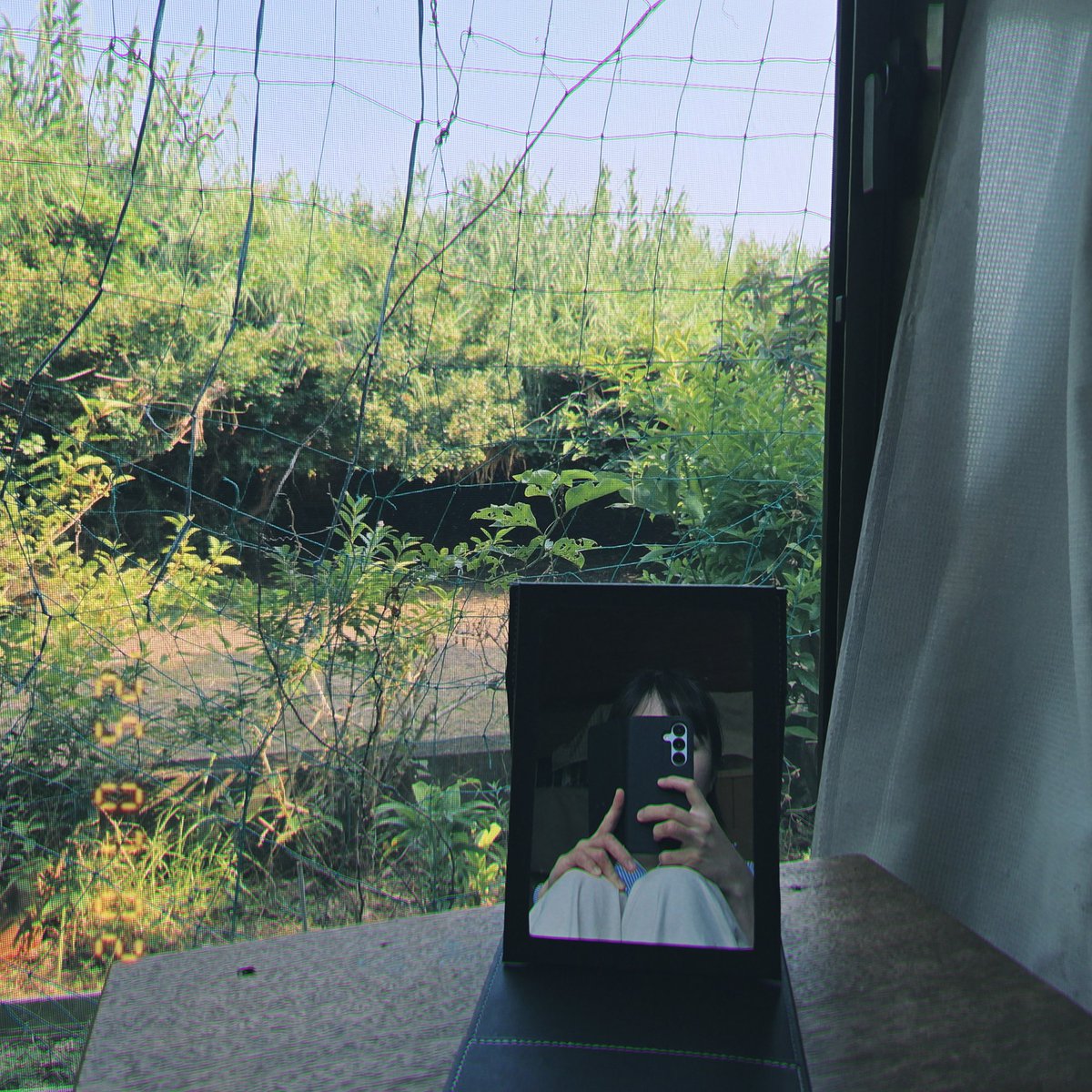 lionion810's tweet photo. 夏本番だ～☀️ https://t.co/VfArNUfwz3