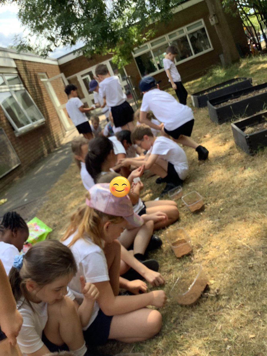 #Year2 have planted sage, thyme and lavender to encourage and attract bees. We learnt all about the importance of bees. #Science