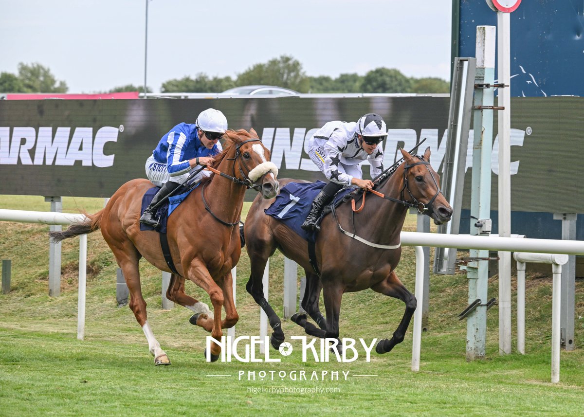 Nigel Kirby Photography (@nigekirby) on Twitter photo ARKINTHESTARS with The Instarmac group Handicap at <a href="/DoncasterRaces/">Doncaster Racecourse</a> for Karl Burke and Pierre-Louis Jamin for owners <a href="/NBradleyRacing/">Nick Bradley Racing</a> ARKINTHESTARS with The Instarmac group Handicap at <a href="/DoncasterRaces/">Doncaster Racecourse</a> for Karl Burke and Pierre-Louis Jamin for owners <a href="/NBradleyRacing/">Nick Bradley Racing</a>