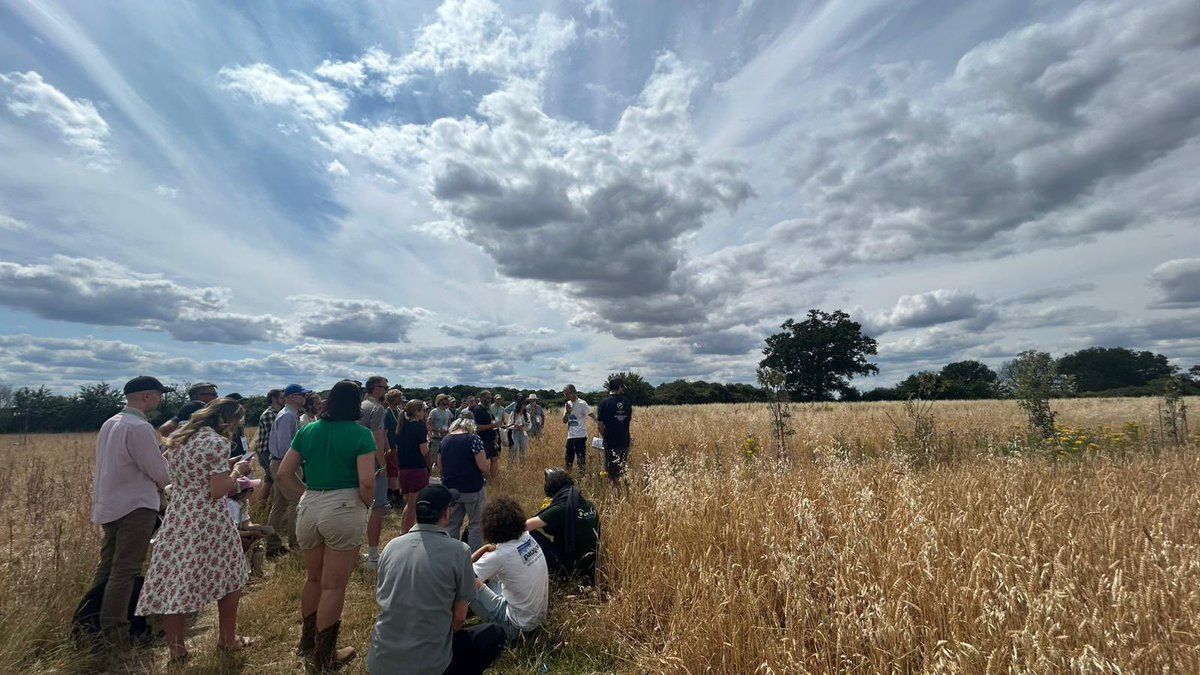 Mark Lea (@greenacres_farm) on Twitter photo Very much enjoyed playing a very small part for The Woodland Trust in a very enjoyable #groundswell2025 - for us the best yet by some way! Thanks to everyone involved <a href="/Groundswellaguk/">Groundswell</a> Very much enjoyed playing a very small part for The Woodland Trust in a very enjoyable #groundswell2025 - for us the best yet by some way! Thanks to everyone involved <a href="/Groundswellaguk/">Groundswell</a>