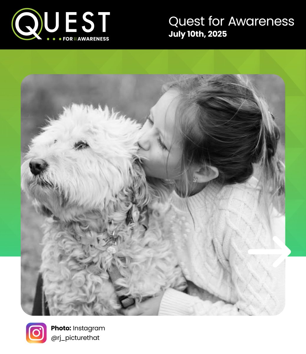 Quest Audio Visual tweet media