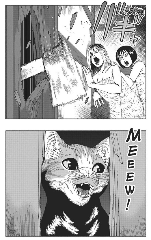 ryuumajin's tweet photo. THREE DAYS COUNT DOWN!

#NyaightofTheLivingCat

 #ニャイリビ https://t.co/70zM0mbAqq