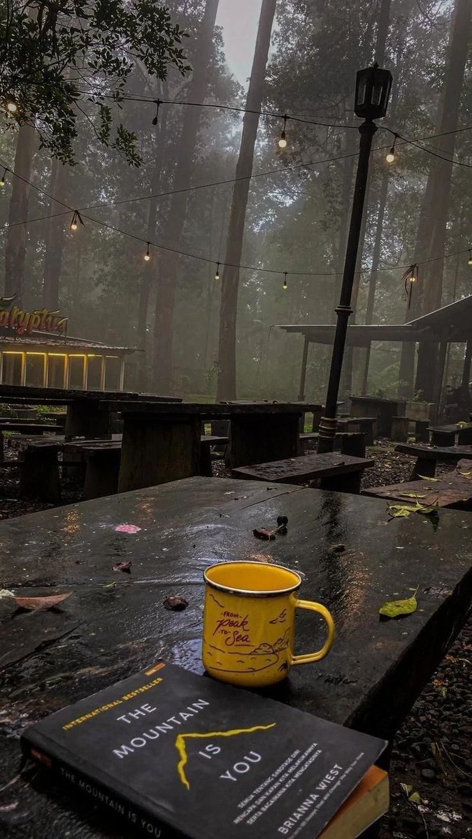 gIoomyweather's tweet image. rainy weather.