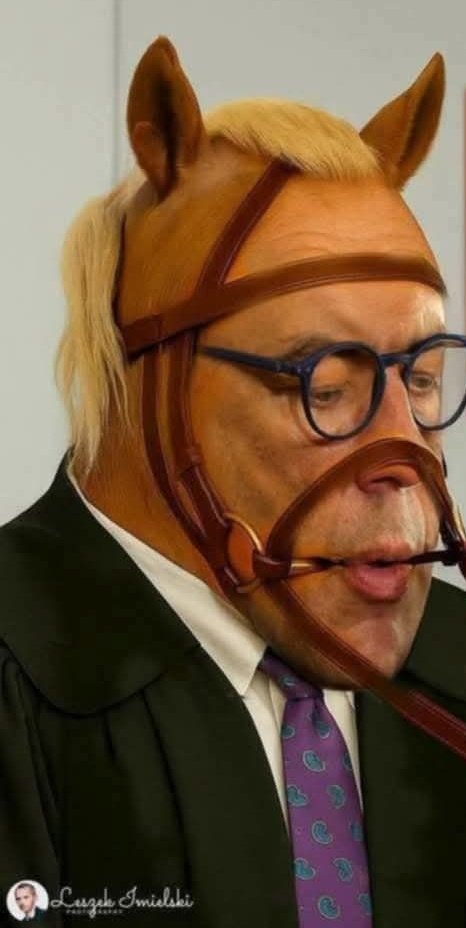 Ostatni nabytek stajni Donalda. 🐎😂😂

Darowanemu giertychowi w zęby się nie zagląda.
Roman z Donaldem znają się jak łyse giertychy.
giertych by się uśmiał na teorie spiskowe Romana i Donalda.