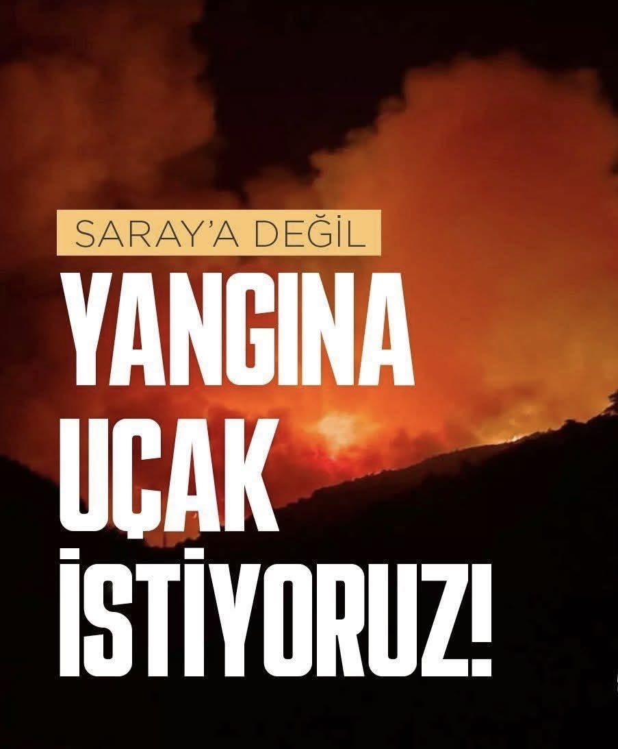 Neşe Özgün (@nese_ozgun) on Twitter photo 