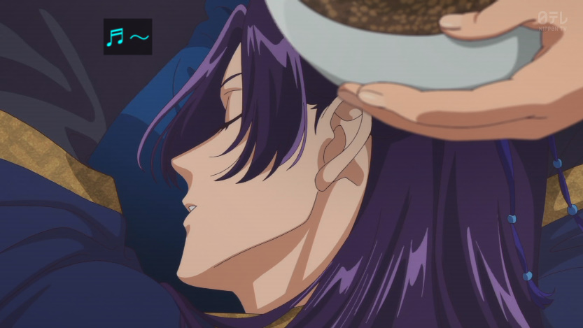 Nattsun___3's tweet image. 壬氏さまが大好きな猫猫枕
#薬屋のひとりごと
#薬屋２期