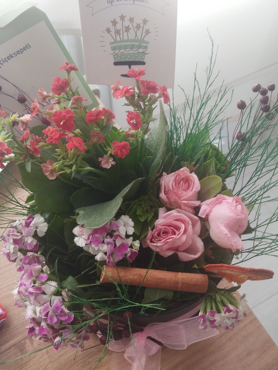 Doğum günüm icin gonderilen çiçeğin rezaletine bakar mısınız <a href="/ciceksepeti/">Çiçeksepeti</a> <a href="/csdestek/">Çiçeksepeti Destek</a>  aldığınız parayı hak ediyor musunuz ?
Tam anlamıyla ciddiyetsizlik