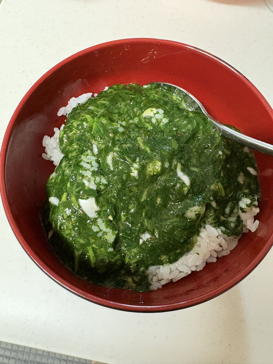 DORO_THUNDER's tweet photo. 特製モロヘイヤ丼🌱
今年もこの時期が参りましたね🎐 https://t.co/QVuYJuEaRa
