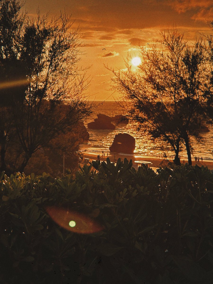 Still Corners tweet media