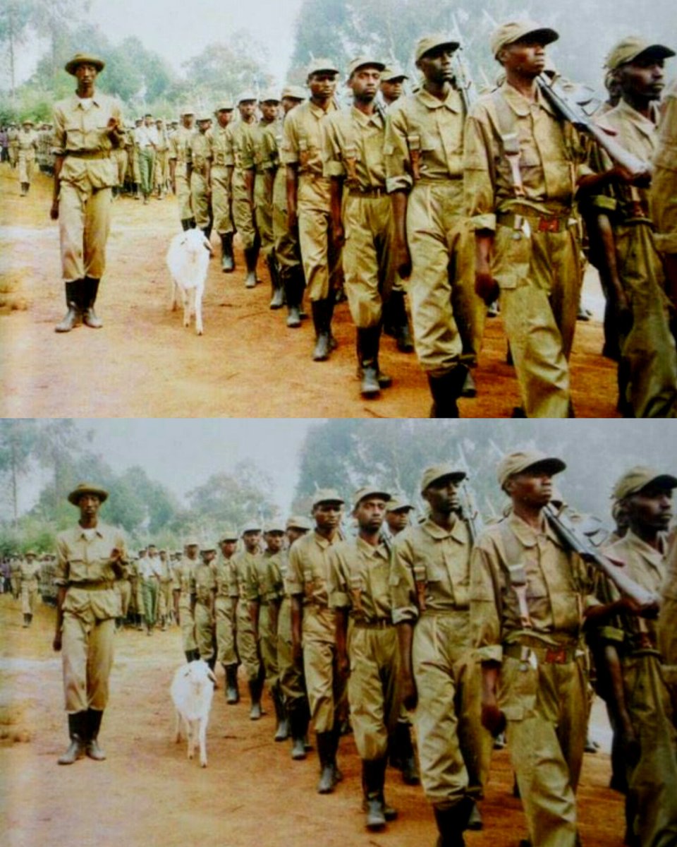 Umunsi mwiza wo kwibohora! 🇷🇼❤️

Muri iyi Thread reka twiyibutse indirimbo 11 nziza kurenza izindi Band ya RDF yaduhaye  mu myaka 20 ishize. 🤝

Izi ndirimbo twakuze tuzikunda ndetse rwose tuziririmba ijambo ku rindi ku munsi nkuyu Tariki 4 Nyakanga. ✨

1/12

A Thread. ⬇️⬇️